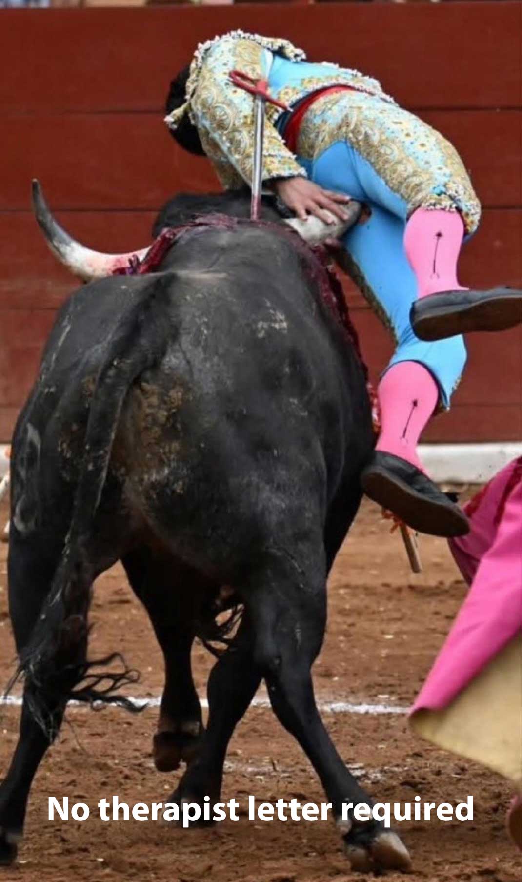 bullfight.jpg
